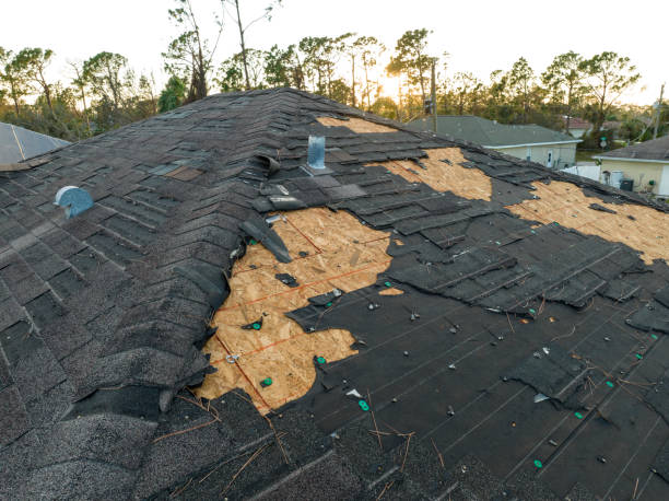 local roofing contractors